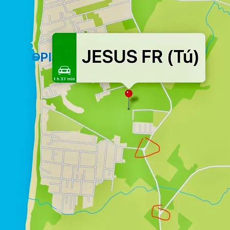 La Almadraba Del Palmar I *