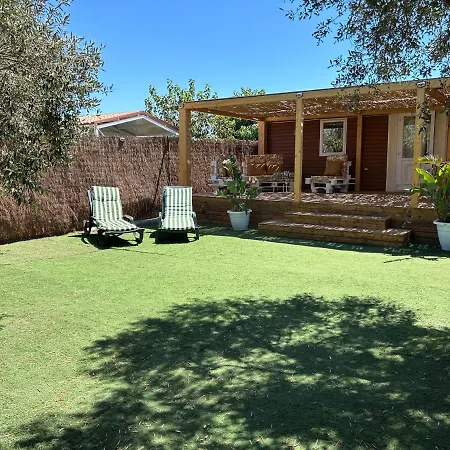 La Almadraba Del Palmar I קדיז