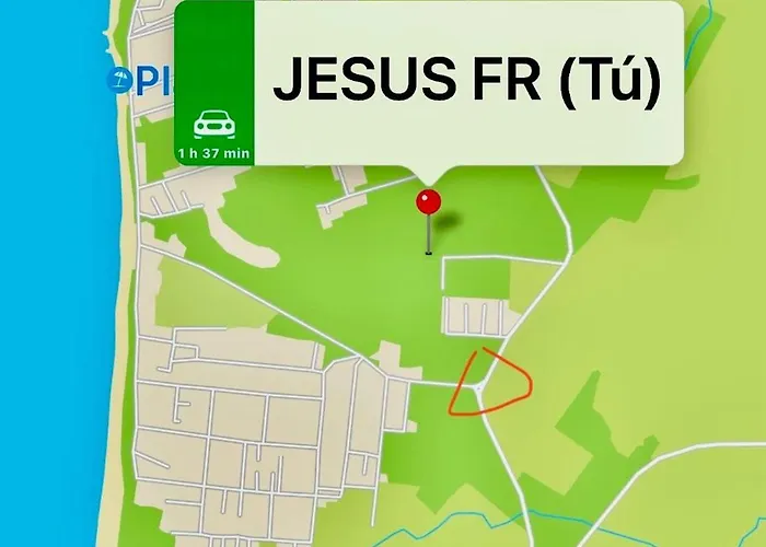 La Almadraba Del Palmar I *